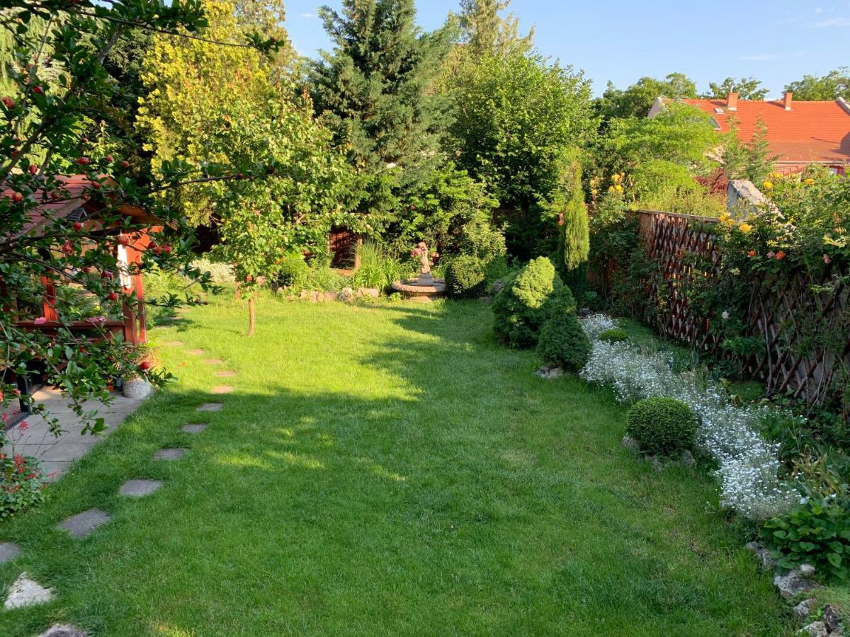 Quiet Room In Budapest Near Airport With Free Parking Esterno foto